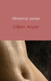 Omslag van Almeerse zomer