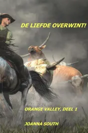 Omslag van De liefde overwint!