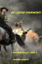 Omslag van De liefde overwint!