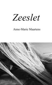 Omslag van Zeeslet