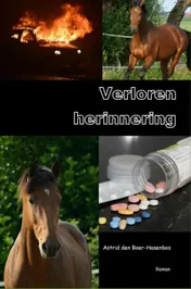 Omslag van Verloren herinnering