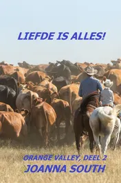 Omslag van Liefde is alles!