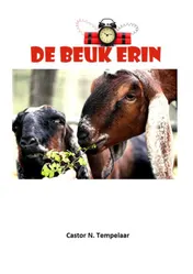 Omslag van De Beuk Erin