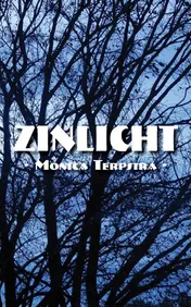 Omslag van Zinlicht