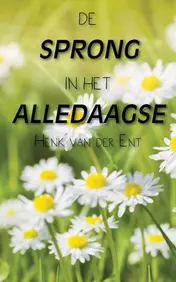 Omslag van De sprong in het alledaagse