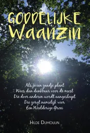 Omslag van Goddelijke Waanzin