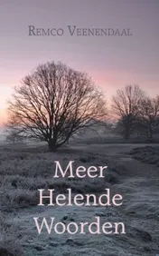 Omslag van Meer Helende Woorden