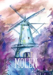Omslag van Het geheim van een schat in de molen