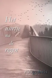 Omslag van Het uurtje na de regen