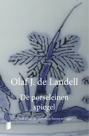 Omslag van De porseleinen spiegel
