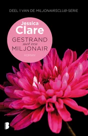 Omslag van Gestrand met een miljonair