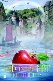 Omslag van Lud-in-de-mist