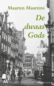 Omslag van De dwaas Gods