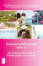 Omslag van Zomerse familieromans, 6-in-1-bundel