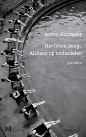 Omslag van Het leven deugt. Althans op onderdelen