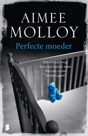 Omslag van Perfecte moeder