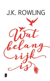 Omslag van Wat belangrijk is