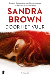Omslag van Door het vuur