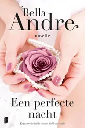 Omslag van Een perfecte nacht