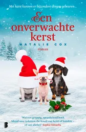 Omslag van Een onverwachte kerst