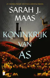 Omslag van Koninkrijk van as