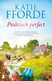 Omslag van Praktisch perfect