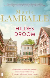 Omslag van Hildes droom