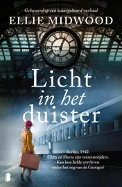 Omslag van Licht in het duister