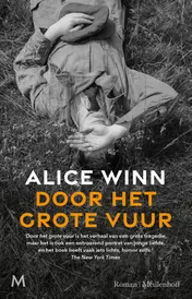 Omslag van Door het grote vuur