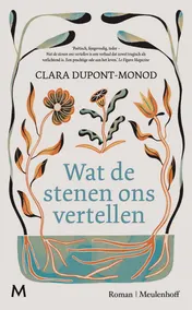 Omslag van Wat de stenen ons vertellen