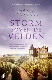 Omslag van Storm boven de velden
