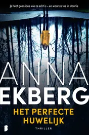 Omslag van Het perfecte huwelijk