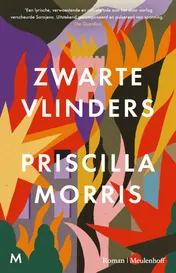 Omslag van Zwarte vlinders
