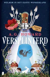 Omslag van Versplinterd