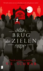 Omslag van Brug der zielen