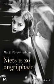 Omslag van Niets is zo ongrijpbaar