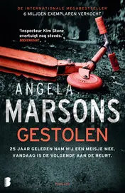 Omslag van Gestolen