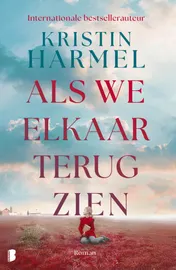 Omslag van Als we elkaar terugzien