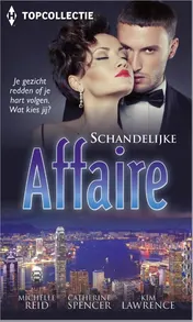 Omslag van Schandelijke affaire