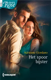 Omslag van Het spoor bijster