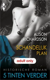 Omslag van Schandelijk plan