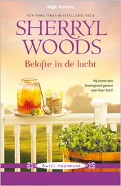 Omslag van Belofte in de lucht