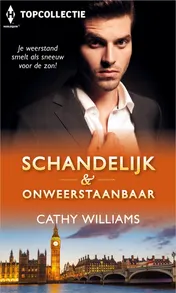 Omslag van Schandelijk & onweerstaanbaar