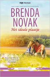Omslag van Het ideale plaatje