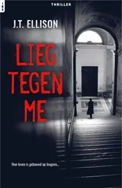 Omslag van Lieg tegen me