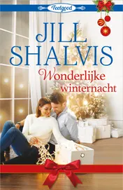 Omslag van Wonderlijke winternacht