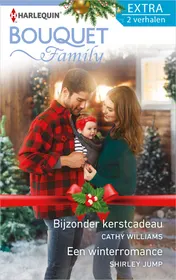 Omslag van Bijzonder kerstcadeau ; Een winterromance