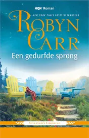Omslag van Een gedurfde sprong