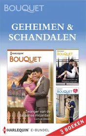 Omslag van Geheimen & schandalen