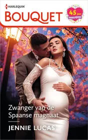 Omslag van Zwanger van de Spaanse magnaat